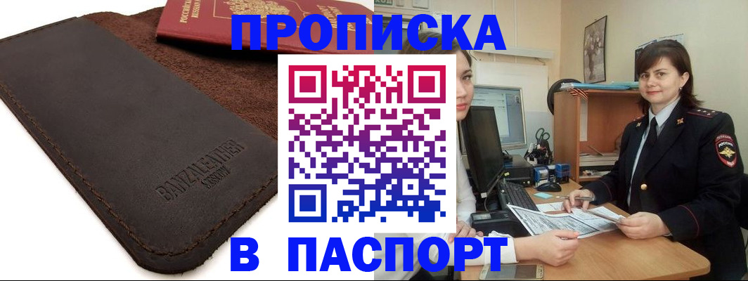 найти адрес прописки в Камышине