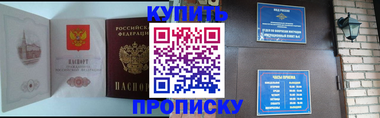 прописка гарантия в Камышине